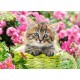 Puzzle 100 el. Kitten in Flower Garden - Kotek na tle kwiatów